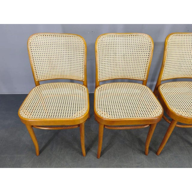 No. 811 Bentwood Chairs in the style of Hoffmann for TON, 1990s, Set of 4 For Sale - Image 15 of 18