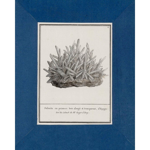Reproduction Antique Mineral Specimen Folio Prints | Set of 12 | 16" X 20" For Sale In Los Angeles - Image 6 of 11