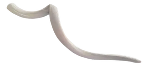 Vintage Decorative Kudu Horn