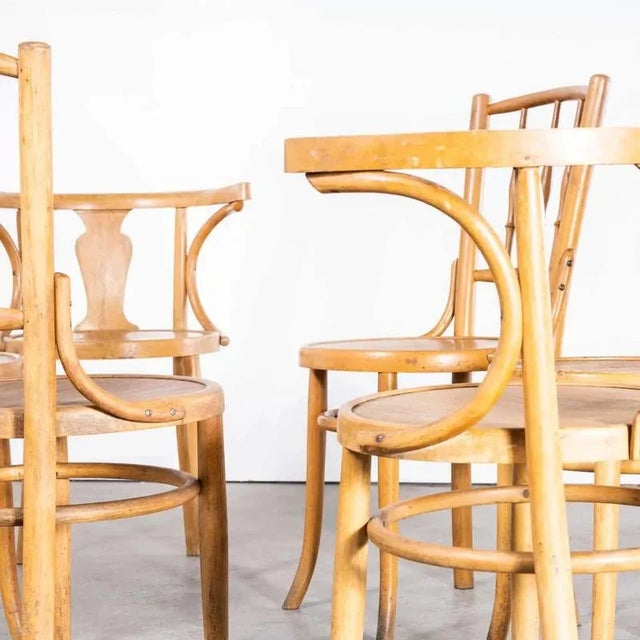 Bentwood Debrecen Blonde Dining Chairs, 1950s, Set of 6 For Sale - Image 4 of 10