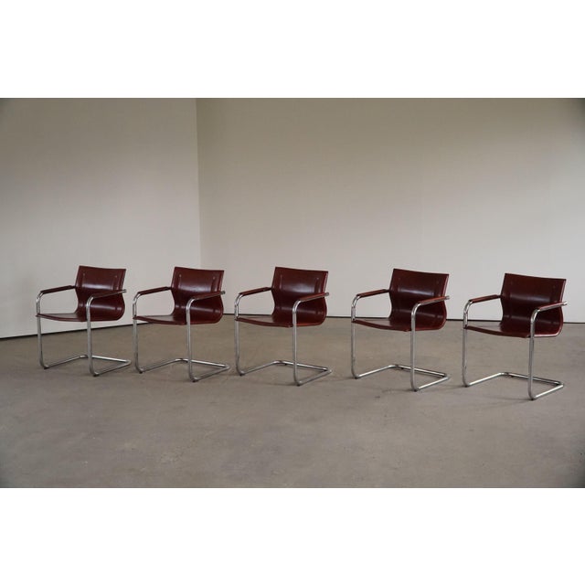 Italian Cantilever MG15 Armchairs in Leather by Matteo Grassi, 1970s, Set of 5 For Sale - Image 11 of 18