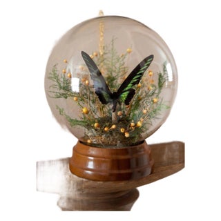 Mid 20th Century Butterfly Globe For Sale