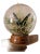 Mid 20th Century Butterfly Globe For Sale