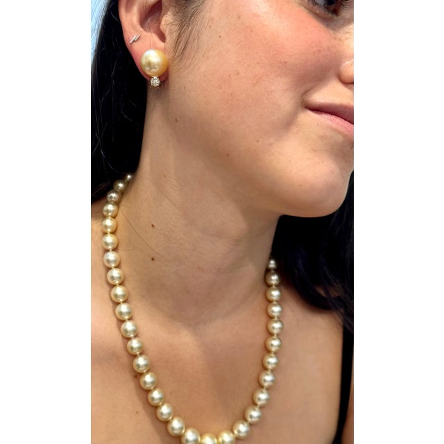 15 mm Round Golden South Sea Pearl & 1 Ct Diamond Cocktail Stud Earrings 14 KG For Sale - Image 11 of 18