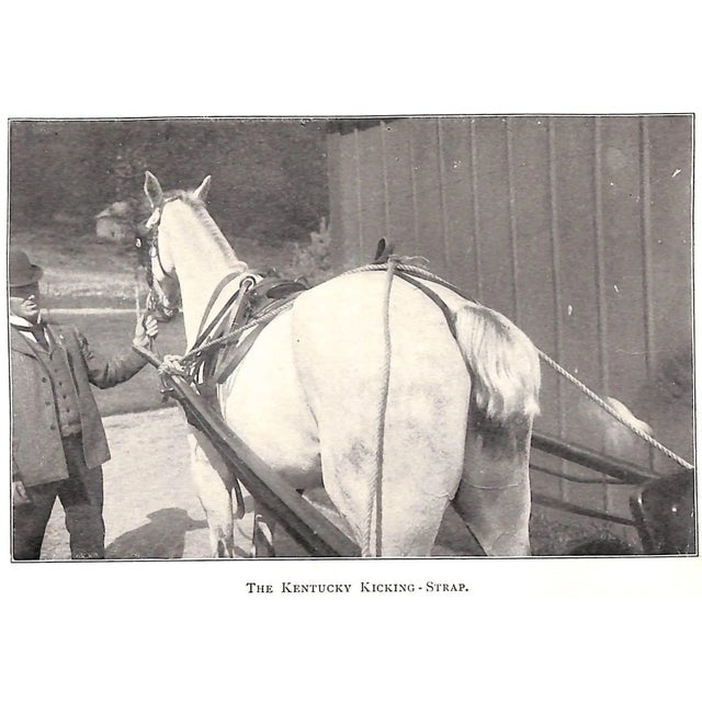 "Our Noblest Friend the Horse" 1903 Ware, Francis M. For Sale - Image 4 of 10