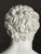 Bust of Meleager, Late 20th century, Stone For Sale - Image 4 of 18