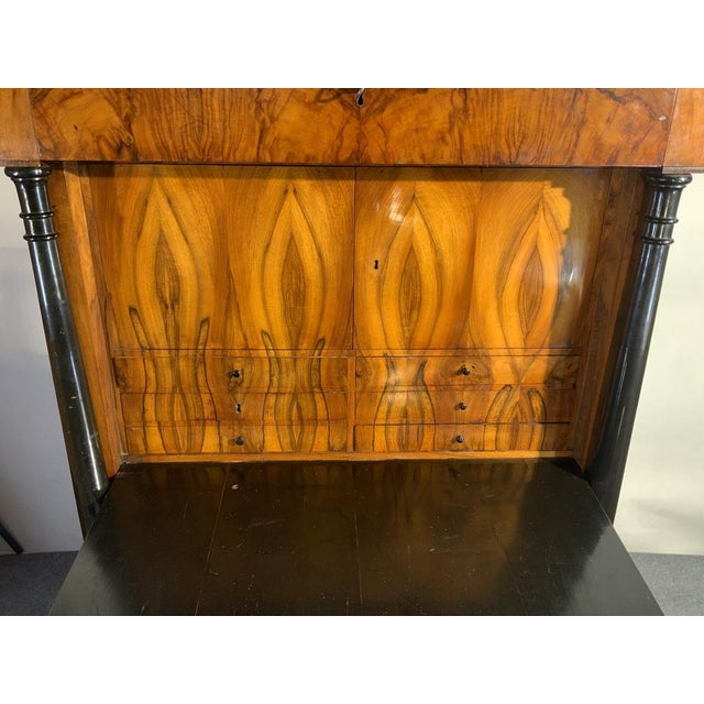 Brown Biedermeier Secretary in Walnut with Columns, 1830 For Sale - Image 8 of 18