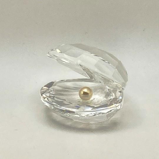 Swarovski Crystal Oyster Shell With Pearl Figurine (#014389 Original Box, Certificate of Authenticity) For Sale - Image 9 of 17