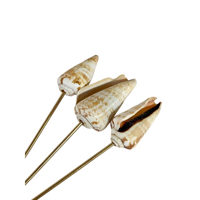 Mid 20th Century Vintage Set of 12 Conch Shell Charcuterie Skewers For Sale - Image 5 of 6