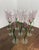 1980s Tulip-Shaped Hand-Blown Glass Champagne Flutes with Twisted Stems, 1980s, Set of 9 For Sale - Image 5 of 12