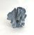 Natural Blue Coral Specimen Coastal Decor For Sale In Los Angeles - Image 6 of 6