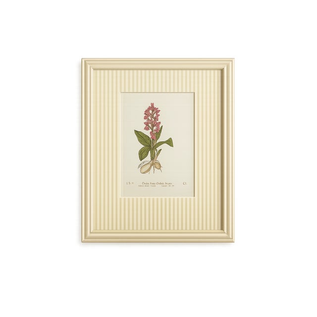 Set of Twelve Antique Alpine Botanical Chromolithographs Circa 1909 in Custom Frames. For Sale - Image 9 of 15