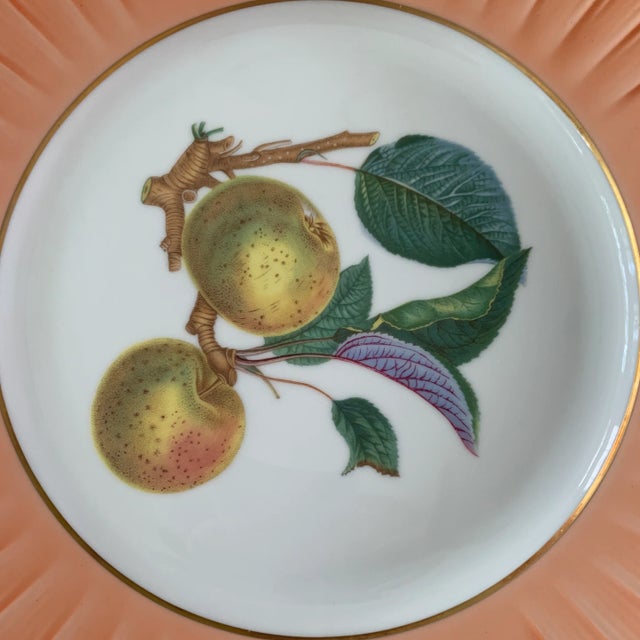 Antique,Vista Alegre, Mottahedeh