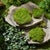Faux Moss Pad (Set of 3) For Sale In Chicago - Image 6 of 6