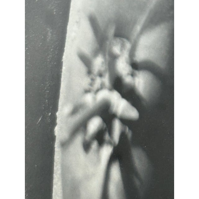 Eugenia Rendon De Olazabal Espinas Series Cactus Dark Aesthetic Photograph, Framed For Sale In San Francisco - Image 6 of 12