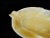 Cream 20th Century Carved Solid Onyx Stone Leaf Shape Footed Dish For Sale - Image 8 of 11