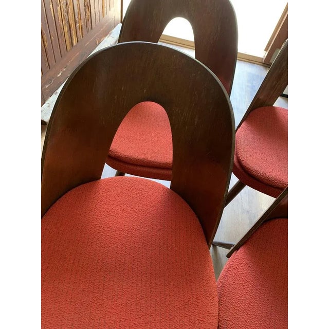 1960s Mid-Century Dining Chairs by Antonín Šuman for Tatra Furniture, 1960s, Set of 4 For Sale - Image 5 of 8