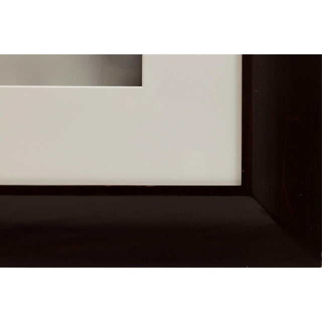 A striking example of Susan Derges' experimental approach to photographic imagery, "Untitled (Eye) No. 1 (1991)" captures...