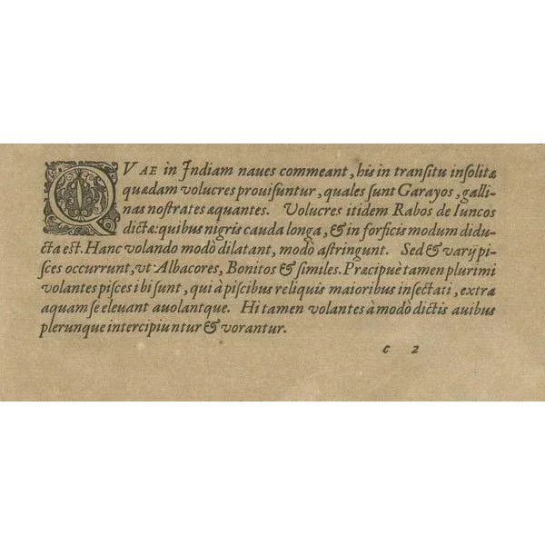 De Bry, Maritime Life and Flora, 1601, Paper For Sale - Image 4 of 9
