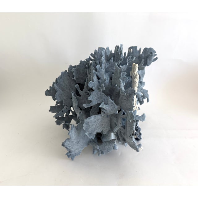 Massive Natural Blue Coral Specimen Coastal Decor For Sale - Image 4 of 7