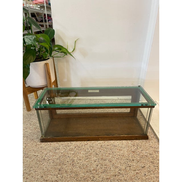 Brass Antique Alfred Noack Oak and Glass Countertop Display Case With Brass Hardware, Oakland California Maker For Sale - Image 8 of 12