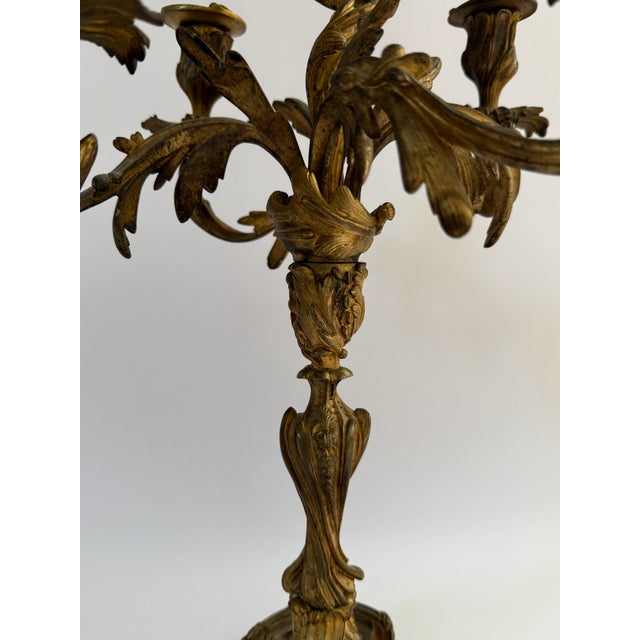 Rococo French Louis XV Style 5-Light Rococo Bronze Candelabra For Sale - Image 3 of 11