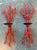 Late 20th Century Vintage Coral Branch Wall Candle Sconces- A Pair For Sale - Image 5 of 12