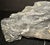 Contemporary Large Fern Leaf Fossil Slab For Sale - Image 3 of 10