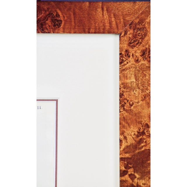 A Pair of Hand Colored Engravings of an African Lioness and Her Cubs and a Rhino, 1775 For Sale - Image 12 of 12