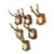 Set of Six Antique Roe Deer Trophies, Germany Ca. 1890s / 1900s For Sale