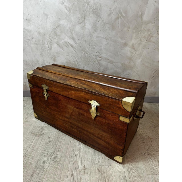 Antique Camphor Wood Chest, 1900 For Sale - Image 14 of 14