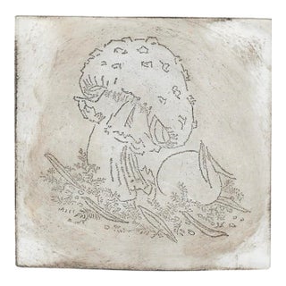 1974 Amanita Mushroom Etching by John Bradley For Sale