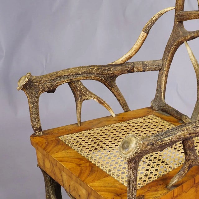 Black Forest Antler Arm Chair by J. A. K. Horn, Turingen 1840s For Sale - Image 4 of 10