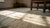 Ivory Ivory Background Color Delicate Details Floral in a Medallion Design Antique Chinese Peking Rug For Sale - Image 8 of 9