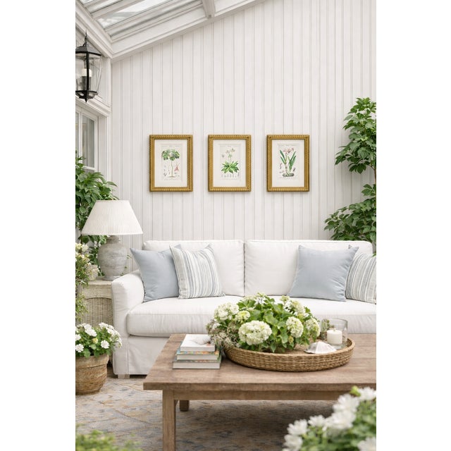 Elegant set of three original mid-19th-century French botanical engravings (circa 1840s–1860s), hand-colored and presented...