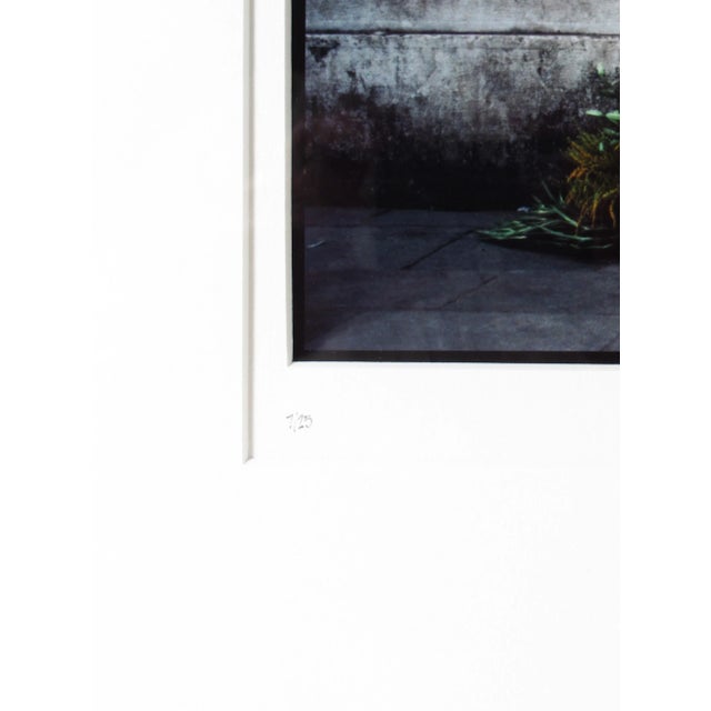 Jeffrey Becom, Scale, Venice, italy, 1981 For Sale - Image 9 of 12