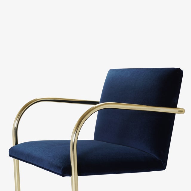 Navy Blue Brno Tubular Chairs in Navy Velvet, Polished Brass For Sale - Image 8 of 10