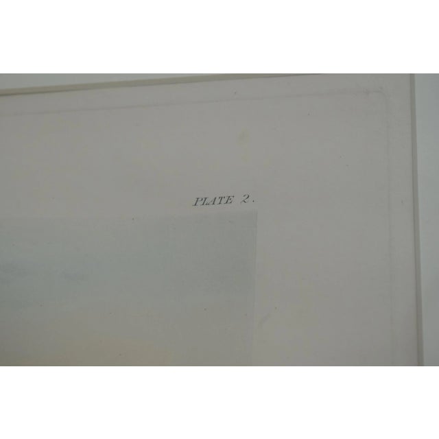 1900 - 1909 English the Royal Navy Ships Vintage Colored Engraving For Sale - Image 5 of 12