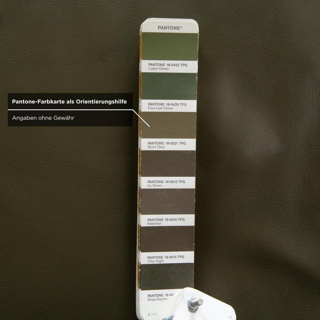 Olive Green Leather Claro Two-Seater Sofa with Manual and Electric Function from FSM For Sale - Image 10 of 15