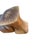 Mid 20th Century Danish Modern Style Sculptural Interlocking Wood Salt and Pepper Shakers For Sale - Image 4 of 11