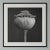 'Poppy Pod Head' No. 3 - Black and White Botanical Floral Photography Print / Karl Blossfeldt For Sale - Image 4 of 6