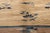 Late 19th Century Late 19th Century Chinese Peking Rug, 10'02 X 19'03 For Sale - Image 5 of 9