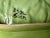 Traditional 1982 Barbara Eigen-Handmade Cabbage Leaf 16" Platter-Signed For Sale - Image 3 of 9