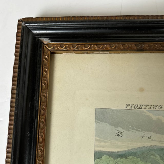 Green Early 19th Century Antique Print Entitled “Sporting Anecdotes” Plate #16 Depicting David Crockett. By Henry Alken. ., Framed For Sale - Image 8 of 9