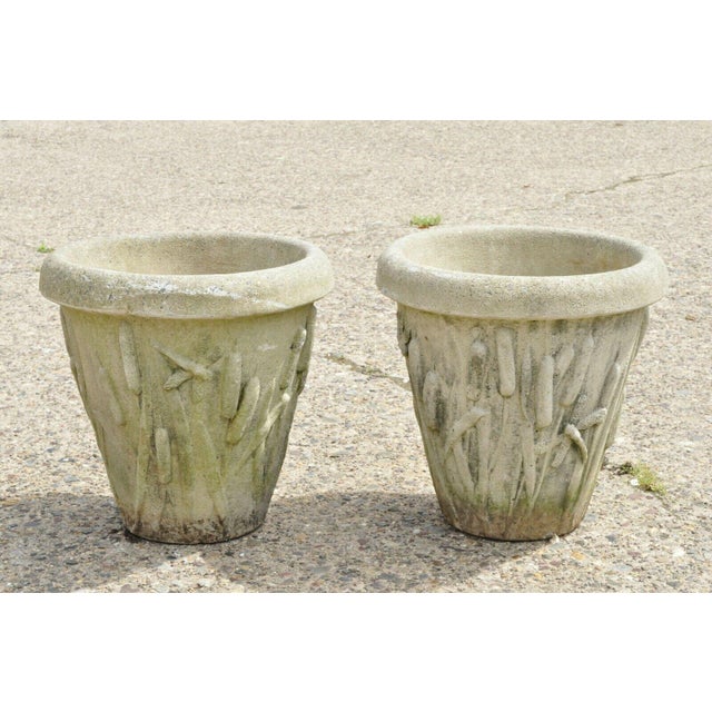 Late 20th Century Nina Studio Concrete Cement Dragonfly Cattail Leaf Garden Planters A Pair Chairish