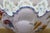 Antique Italian Nove Majolica Scalloped Footed Centerpiece Monteith Bowl 18" For Sale - Image 16 of 18