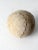 Animal Skin Antique Softball For Sale - Image 7 of 8