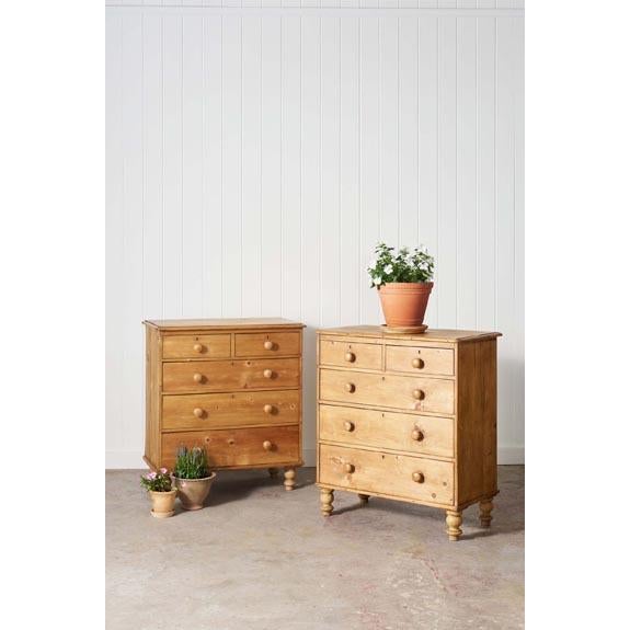 Pair of 19th century pine chest of drawers with warm aged patina, paneled drawers, and original turned wooden knobs....