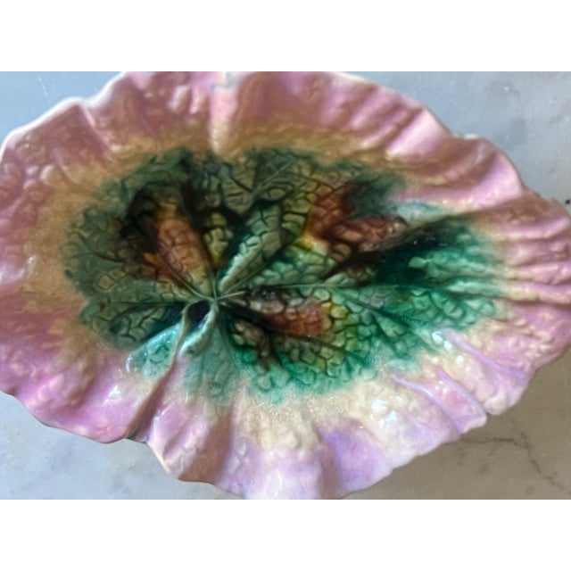 Griffin Smith & Hill Etruscan Begonia Leaf Dish, C. 1880's For Sale - Image 4 of 8