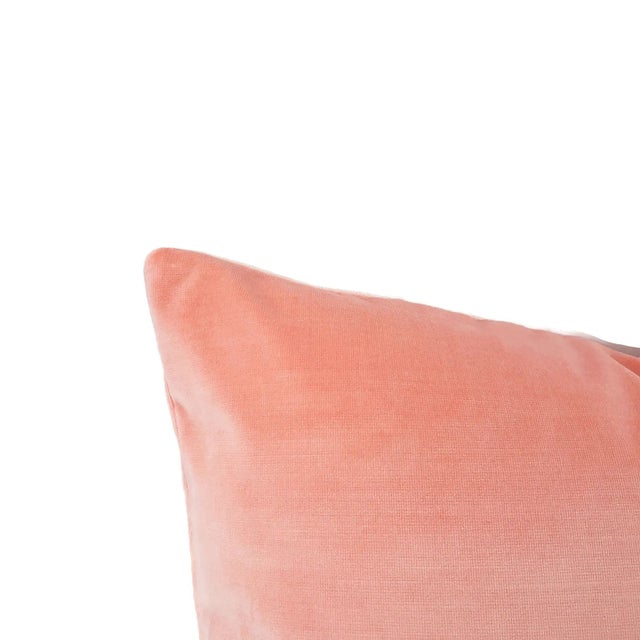 Contemporary Kate Spade Calmative in Persimmon Velvet Pillow Cover - 20" X 20" Light Pink Velvet Cushion Case For Sale - Image 3 of 8